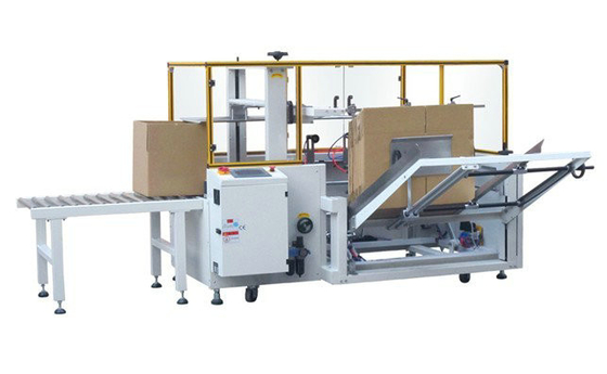 Bas carton de machine de conditionnement de bouteille de perte formant l'équipement